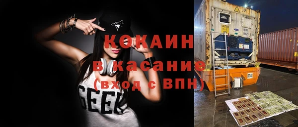 мдпв Вяземский