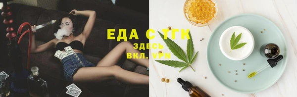 мдпв Вяземский