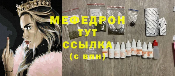 мдпв Вяземский