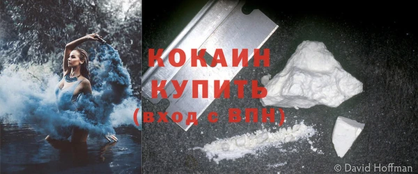 мдпв Вяземский