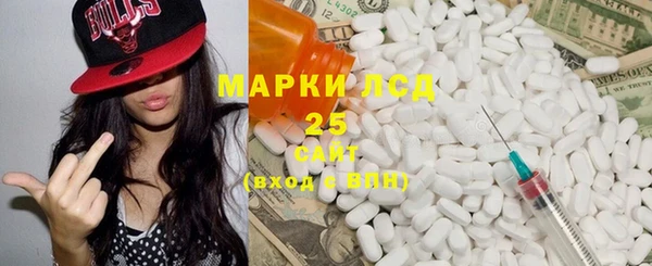 мдпв Вяземский