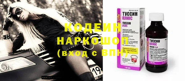 мдпв Вяземский