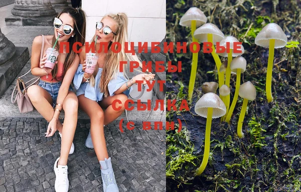 MESCALINE Вязники