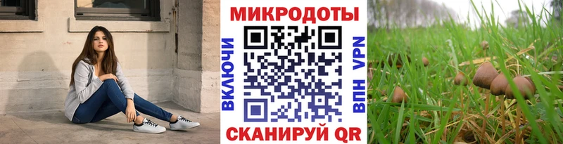 гидра ТОР Севастополь Псилоцибиновые грибы Psilocybine cubensis что такое наркотик
